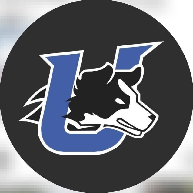 Underdogs Beisebol