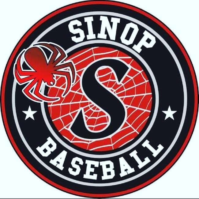 Sinop Spiders