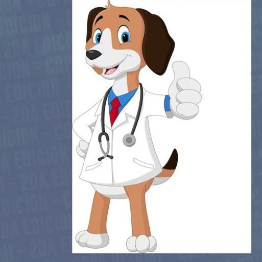 LOS DOCS
