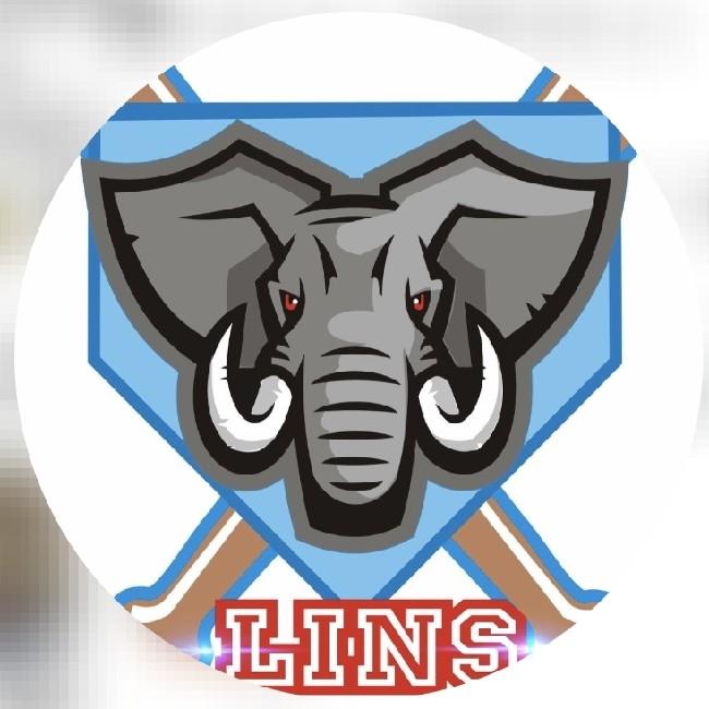 Lins Beisebol