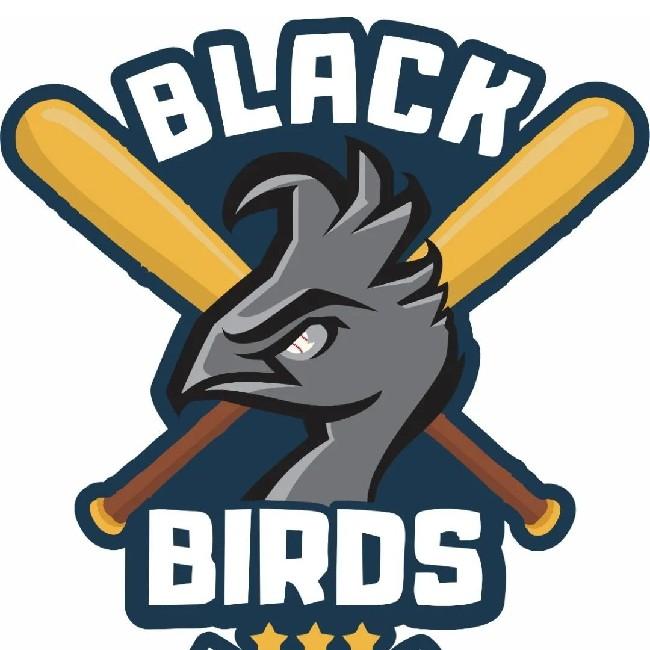 Mutum Black Birds