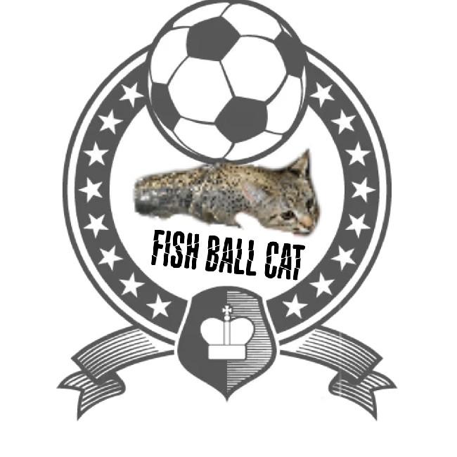 Fish Ball Cat