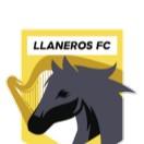 Llaneros