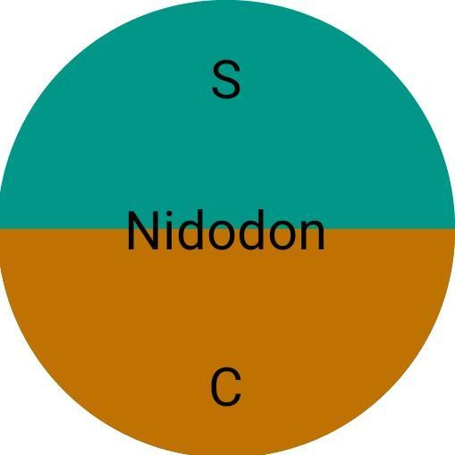 SC Nidodon