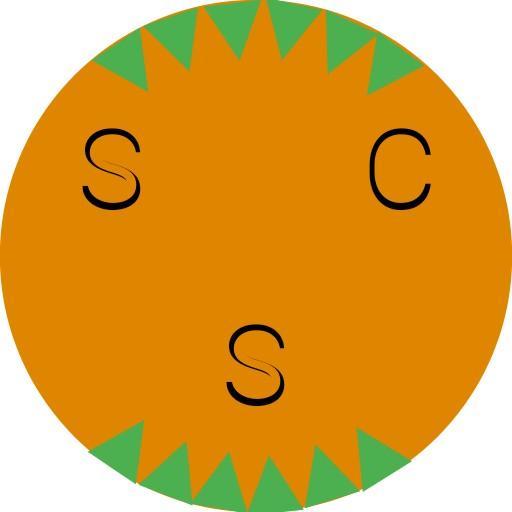 SC Silodon