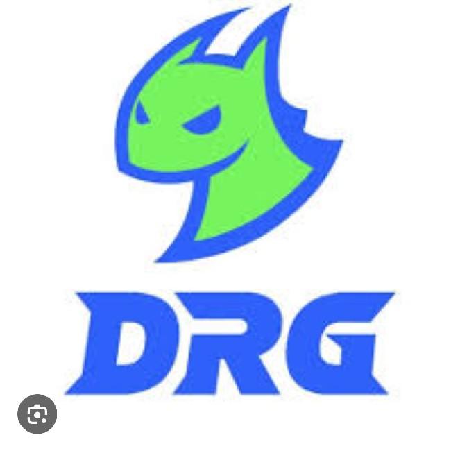 DRAGONS RANGER电子竞技俱乐部