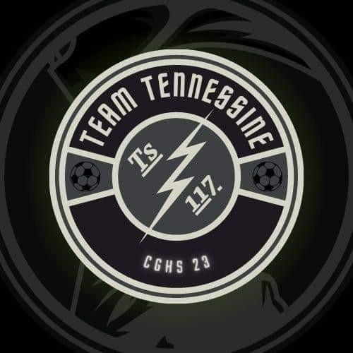 Team Tennessine