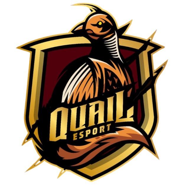 QUAIL ESPORT
