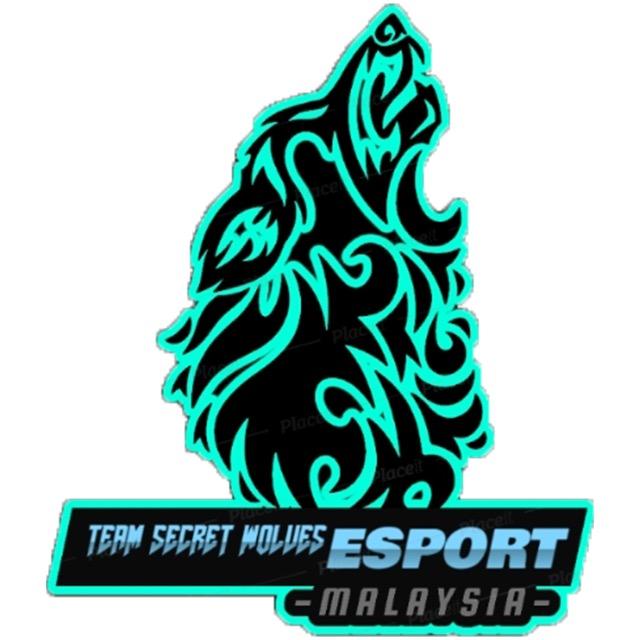TEAM SECRET WOLVES