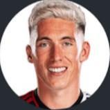 🏴󠁧󠁢󠁷󠁬󠁳󠁿 H. Wilson