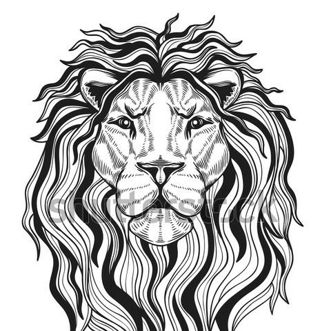 Copa inactivo 1 de mayo