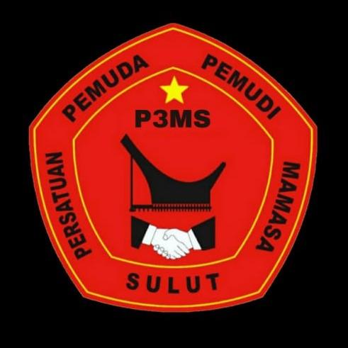 P3MS