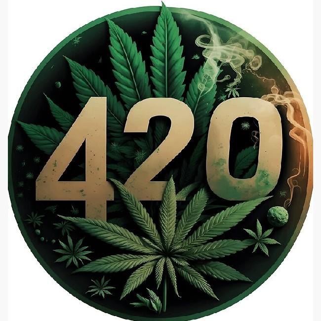 4.20 HAUSE