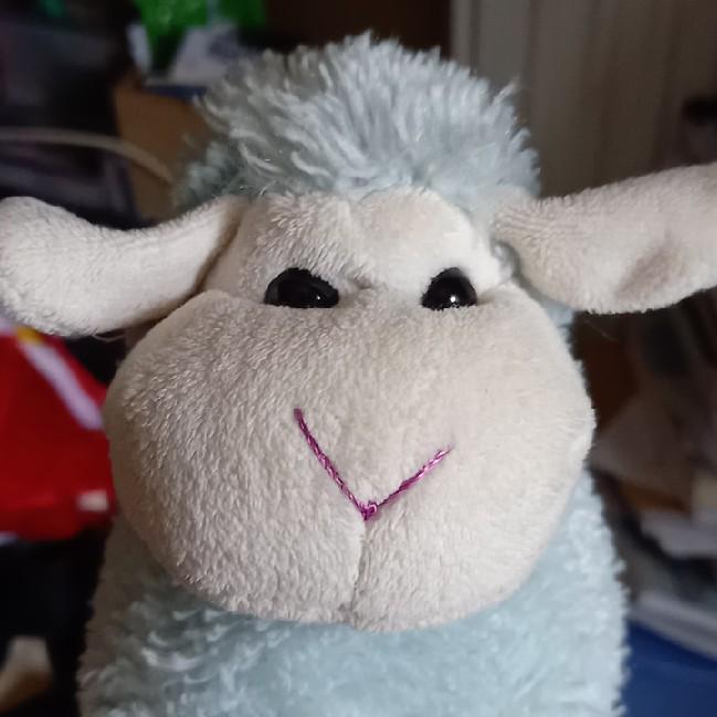 Blue sheep