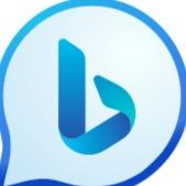 Bing