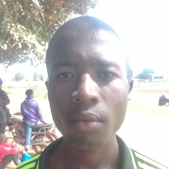 Alex mugo