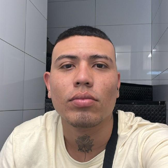 Breyder frias