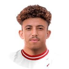 Salaheddine Benyachou