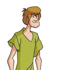 Shaggy
