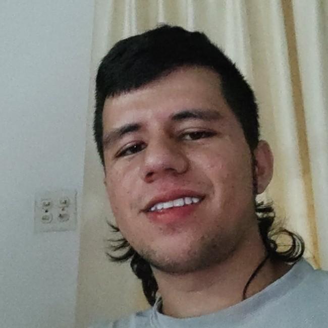 Brahiana andres vega