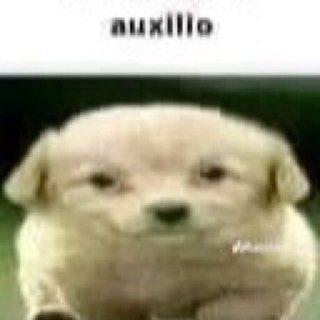 Copa Afroasiática
