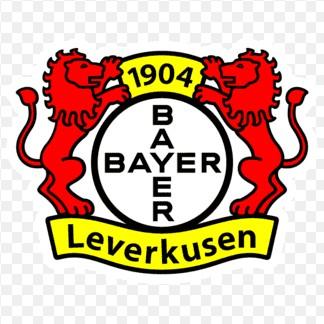 Bayer lerverkusen