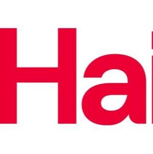 Haines Watts