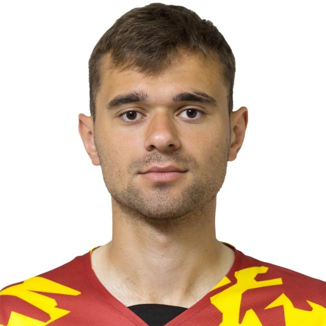 Artem Leybin