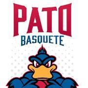Pato basquete