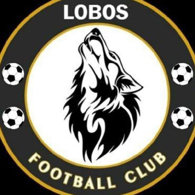BAHIA DE LOBOS FC