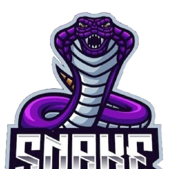 Snake Esports