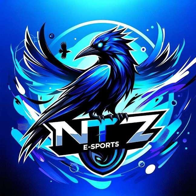 NTZ E-SPORTS
