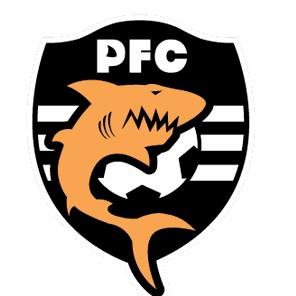 Puntarenas Fútbol Club