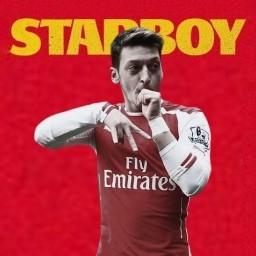 Arsenal Fan