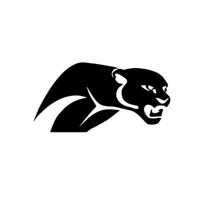 Porto Alegre Panthers