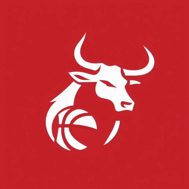 Vitoria Bulls - 2