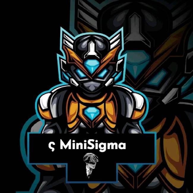 Minisigma