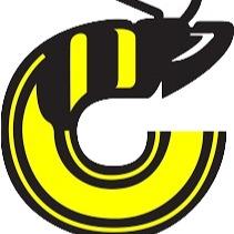 Cincinnati Stingers