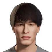 Palavecino
