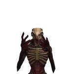 ken_tora1(ToraGatitosYT1442)