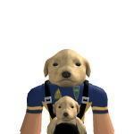 makemelegal.(MN_Chicha)