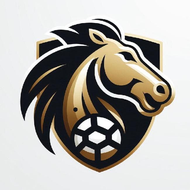 Black Horse Team