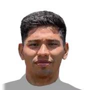 F. Salinas