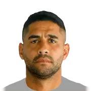 M. Fernandez