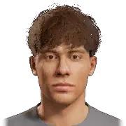 A. Henriquez