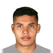 B. Roco