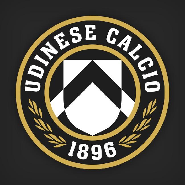 Udinesse