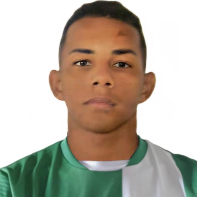 HENRIQUE COSTA DE ARAUJO