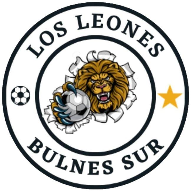 Bulnes Sur