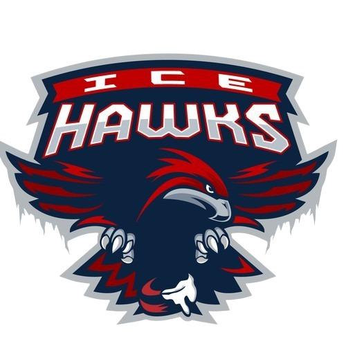 Houston Ice Hawks